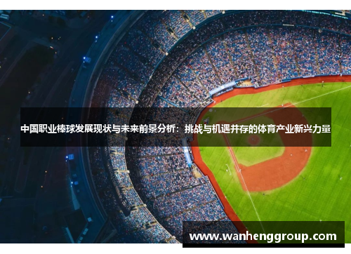 中国职业棒球发展现状与未来前景分析：挑战与机遇并存的体育产业新兴力量