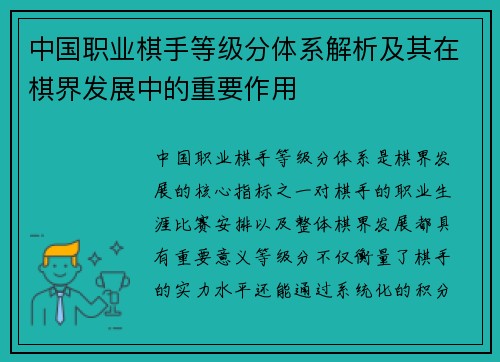 中国职业棋手等级分体系解析及其在棋界发展中的重要作用