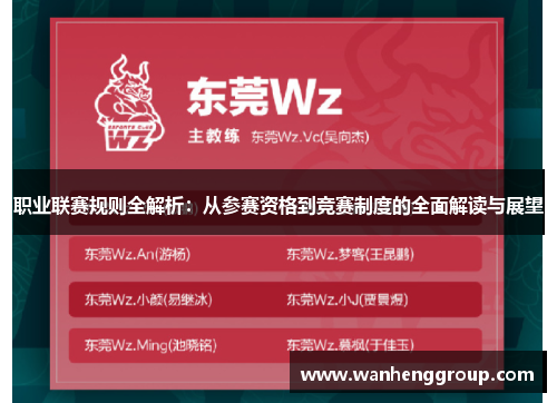 职业联赛规则全解析：从参赛资格到竞赛制度的全面解读与展望