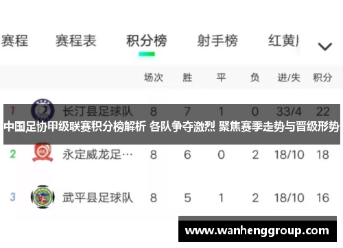 中国足协甲级联赛积分榜解析 各队争夺激烈 聚焦赛季走势与晋级形势